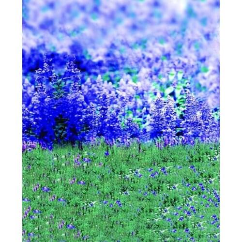 Photography Backdrop Romantic Purple Flowers Green Glass Background for Newborn Digital Printed Baby Shower Backdrops Custommade