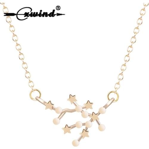Cxwind Gemini Necklace Horoscope Charm 12 Zodiac Sign Astrology Pendant Necklace Constellation Star Chart 21/5-21/6