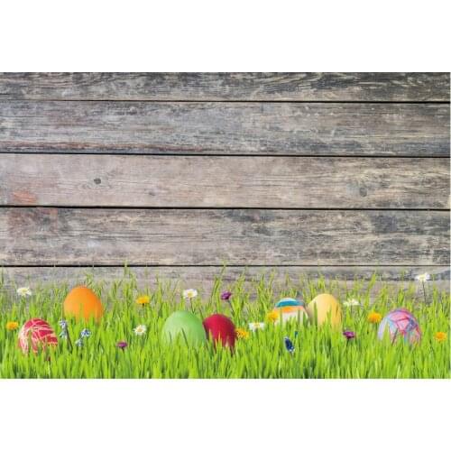 Holiday Backdrop Beauty Eggs and Black Wooden Board Photography Background Baby Shower Celebration Photo Booth Studio Decor