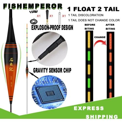 Nano Smart Led Fishing Float Highly Sensitive Fish Bite Remind Buoy Gravity Sensor Glowing Electric Night Fishing Float Carp