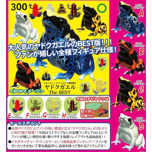 Japan IKIMON Animal Gashapon Capsule Toys Toad Model Tree Frog Blind Box Table Ornaments Decoration Figure Arrow-poison Frog