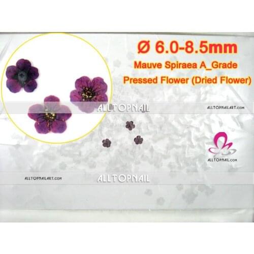 Mauve Spiraea Nail Art Dried Pressed Flowers 2020x Bridal Wreat Real Nature Dried Flower for Pressed Flower Art - Free shipping
