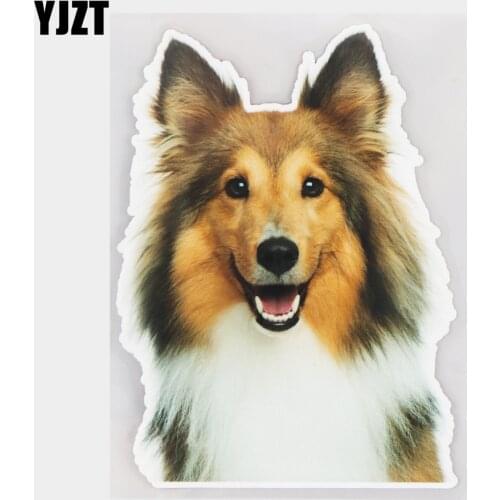 YJZT 12×16.2CM Shetland Sheepdog Creative Cartoon Car Decoration Accessories Vinyl Stickers 21A-0032
