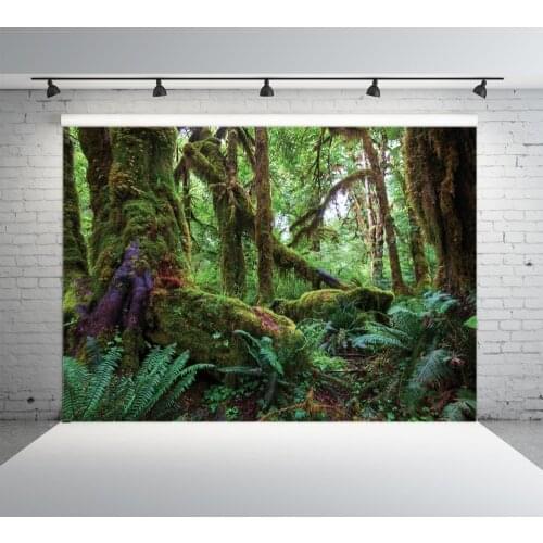 Deep Jungle Tree Photography Backdrops Fairy Tale Photo Background Photocall Backgrounds for Photo Studio Party Stage Play