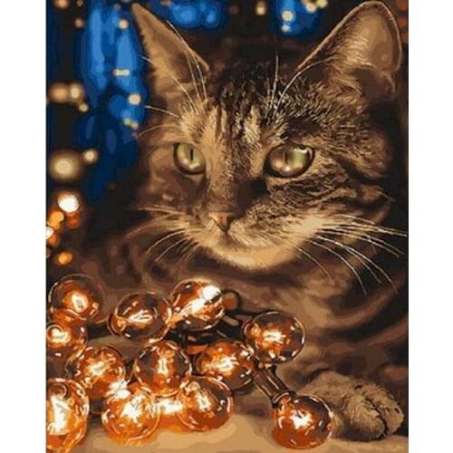 GATYZTORY 60x75 Picture DIY Painting By Numbers For Adults With Frame Bulb Cat Animals Paint By Numbers Wall Art Gift For Home D