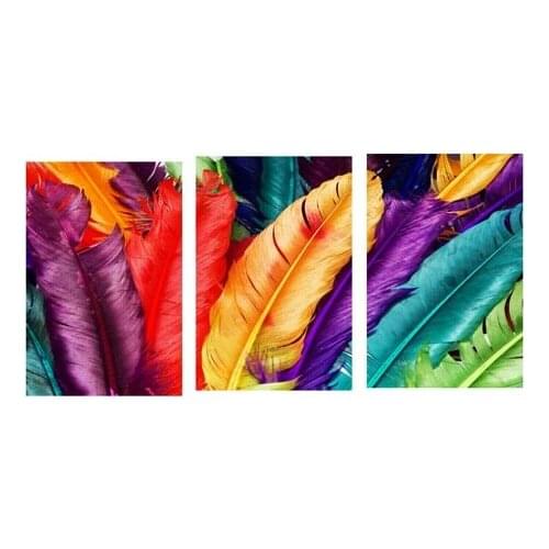3 Piece Modern Canvas Paintings Colorful Feather Wall Art Oil Painting Dining Room Home Decorative Wall Picture for Living Room