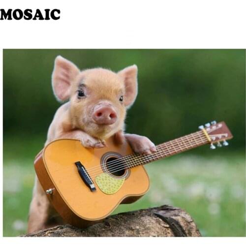 Diy diamond painting,Pig,guitar,mazayka,diamond embroidery flowers,5d diamond mosaic,cross-stitch,stickers,pictures,decor