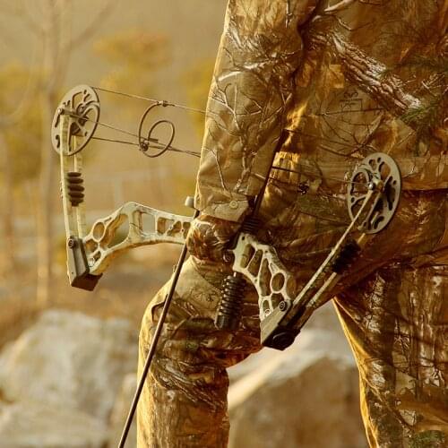 35-60lbs Outdoor Compound Pulley Bow Bow Hunting Falcon Compound Bow Pulley Bow High Quality Bow And Arrow Set