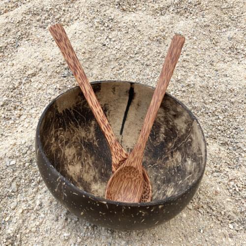 12-15cm Natural Coconut Bowl and Spoon Coconut Bowl Creative Fruit Salad Noodle Rice Ramen Bowl Mixing Bowl Set Wooden Tableware
