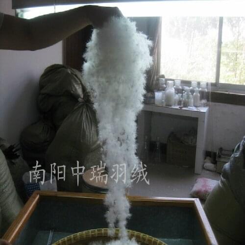 95% White sticky duck hanging down & down coat and sleeping bag filler & Filling power 700 cuin &250g price paypal accepted