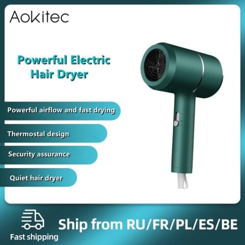 Hair Dryer Household Heating and Cooling Air Hair Dryer Appliances 2000W High Power Blue Light Anion Care Professinal Quick Dry