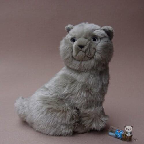 Simulation Plush Animals Persian Cat Doll ChildrenS Educational Toys Car Ornaments Toy