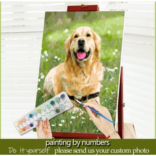 Customize DIY Oil Painting By Numbers Art Picture on Canvas Kits Drawing Paint Acrylic Handmade Adults Kids Gift Wall Decor