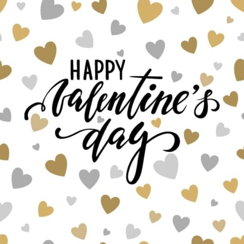 Photography Backdrops Valentine Day Backdrop Custom Fondo Vinyl Plank Flooring 2019 QRJ091