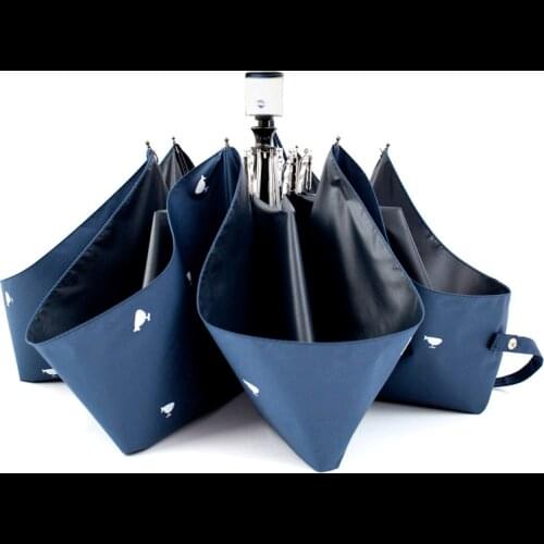 Creative sunny umbrella small fresh folding vinyl sun umbrella sun umbrella anti-ultraviolet sun umbrella automatic umbrella