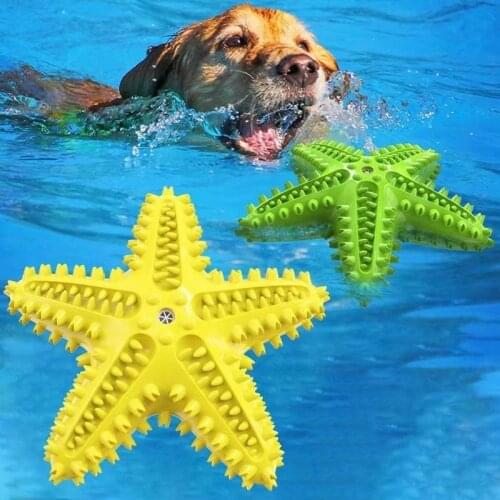 Explosive Pet Water Toy Pet Puppy Dog Vocal Dog Toy Squeak Toy Multi-style Good Quality and Durable Teething Stick