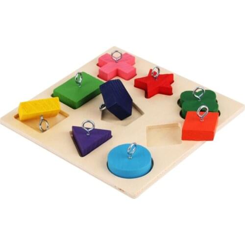 Pet Educational Toys Birds Parrot Interactive Training Colorful Wooden Block G2AB