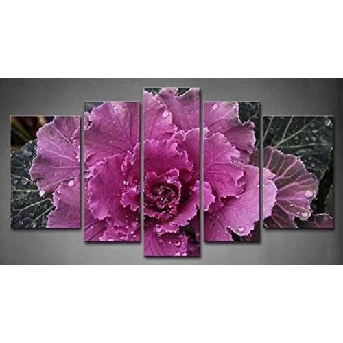 5 Panels Purple Ornamental Cabbage With Raindrops Painting Print On Canvas Flower Picture Modern Painting