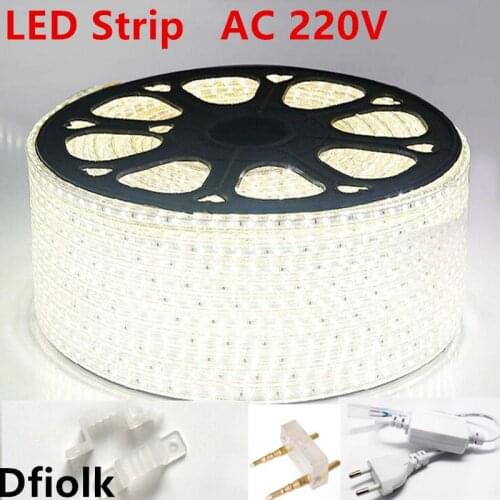 AC220V led strip light 3014 120led / m waterproof IP65 led strip with power plug1m3m5m50m100m led tape rope blue white led lamp