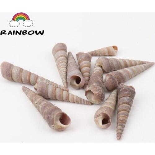 Natural Spiral Shell No Hole Beads For Decoration Jewelry Making DIY Accessories 40-60mm 20pcs