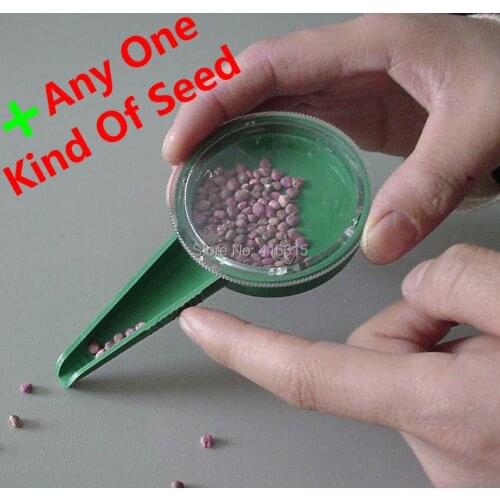 Sow Gardening Tools Five Files Can Be Adjusted To Adapt To Various Sizes Of Seed Seeder Seeds Dispenser Storage Box Accommodate