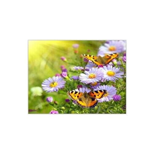 Embroidery with diamonds Painting by numbers rhinestones Diamond mosaic needlework Wall decor art flower Pictures Butterfly Y543