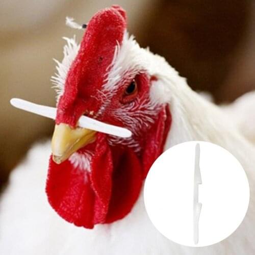 1000Pcs Chicken Nose Bolt Effective Prevent Rooster Eating Plastic Cock Nasal Rod Striking Stick for Poultry Chicken Accessories