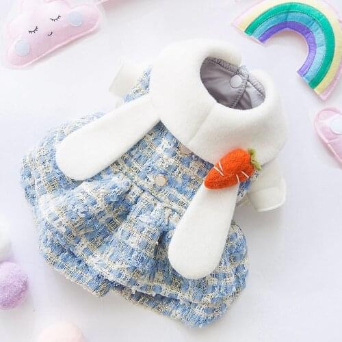 Puppy Clothes New Style Small Fragrant Wind Autumn Winter Woolen Skirt Puppy Princess Dress Small Dog Dress Cat Pet Clothes