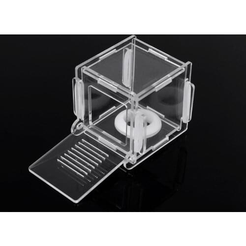 Ant Nest Glass Tube Mini Ant Nest with Active Zone Insect House Acrylic Ant Farm