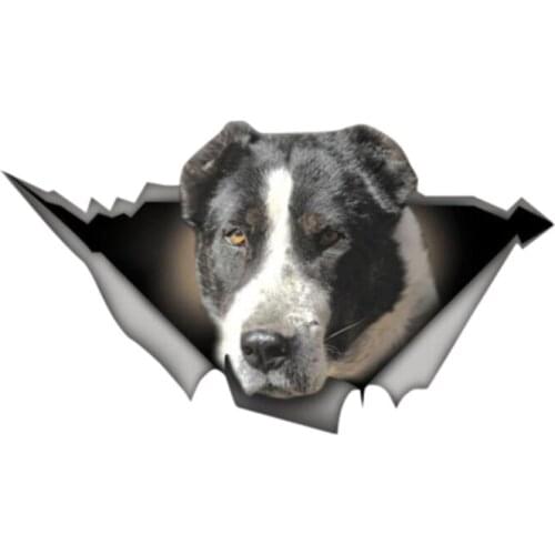 Personality Car Sticker Black White Alabai Vinyl Waterproof Car Window High Quality Accessories Vinyl Motorcycle Decorative PVC