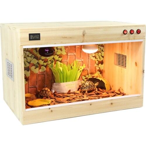 Incubator Reptile Insect Collection Box Breathable Formicarium Snail Cage Ecological Insecten Potje Insect Terrarium Ed50id