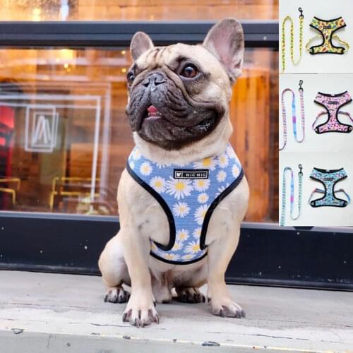 Summer New Dog Harness Cute Frenchie Reversible Harness Leash Set Chihuahua Pug Puppy Breathable Vest Walking Lead Set 2pcs