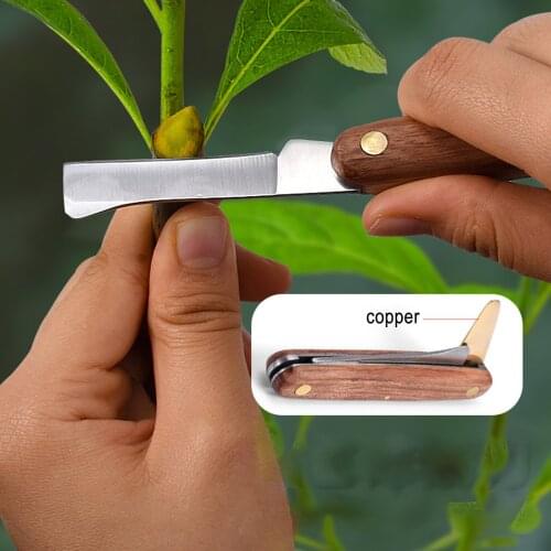 Gardening Pruning Tools bonsai Grafting Pruning Hand Cutting Tools Garden Foldable Grafting Cutter Pruning Seedling Tree Scissor