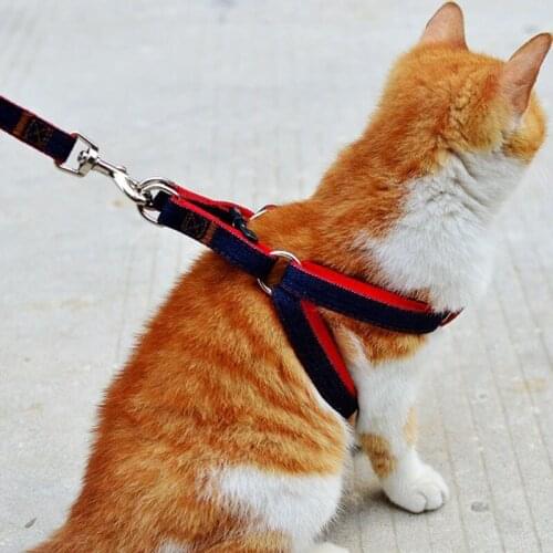 Puppy Dog Harnesses Lead Set Cowboy Traction Rope Strong Leash Dog Collar Teddy Pet Training Supplies Large Dog Accessories