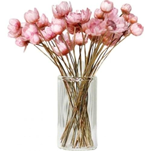 Mini Fresh Dried Flower Vase Model Doll House Decor Home Furnishings DIY Crafts