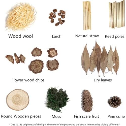 10pcs/lot Natural Look Plants Pine Cones Dried Photograph Photo Props Wedding Party Ornament Home Decoorations DIY Crafting