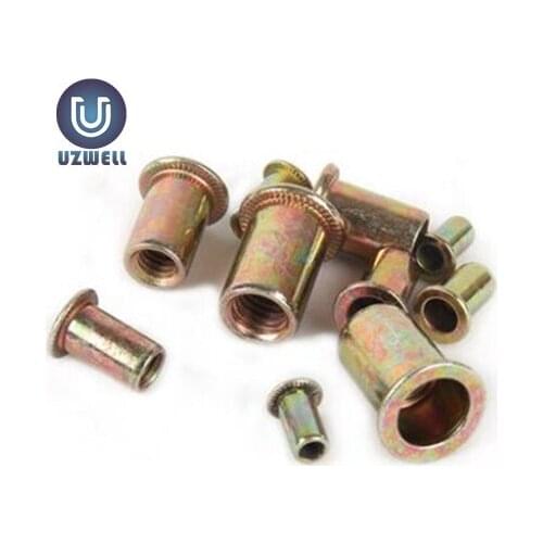 30Pcs / Lot M3 M4 M5 M6 M8 M10 Zinc Plated Carbon Steel Knurled Flat Head Rivet Nuts Rivet Insert Nutsert Cap