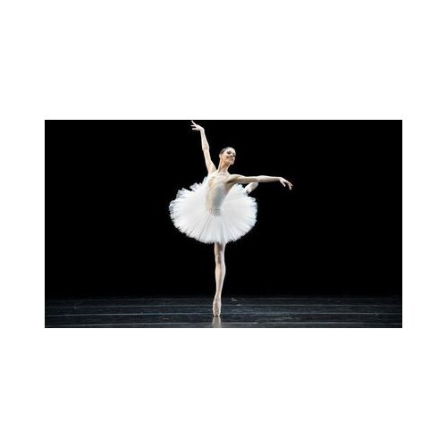 White Adult Ballerina Costume Competition Tutus For Women Girls Swan Lake Stage Professional Classical Ballet Tutu Dance Clothes
