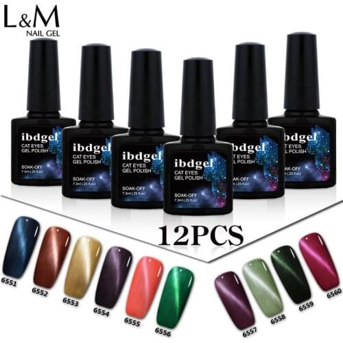 12pcs/Lot Cats Eye 7.3ml ibdgel New Arrival Magnet Cat Eye Gel Nail Polish UV Led Long Last Varnish Gel Lak