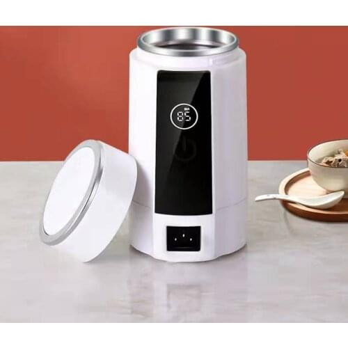 Dawupine Stainless Electric Kettles