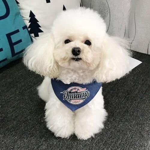 2019 new pet triangle scarf dog collar 4-color dog collar towel pet jewelry saliva towel bib Tie x19