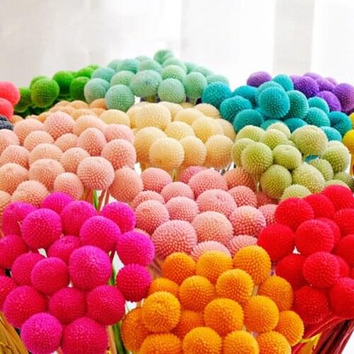 10PCS Real Natural Dried Flowers Chrysanthemum Golden Ball Home Decor For Wedding Party DIY Craft Scrapbook Bouquet INS Candle