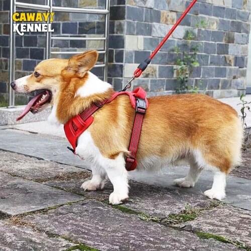 CAWAYI KENNEL Dog Harness Breathable Reflective Pet Harness Vest for Small Large Dog Outdoor Running Dogs Training Accessories