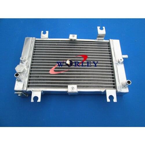 Aluminum Radiator For Can-Am CAN AM DS250 DS 250 2006 2007 2008 2009 2010 11 12