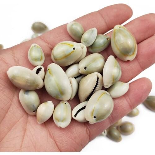 JHNBY 50pcs 16~23mm Gray Natural Sea Shells Decoration For Jewelry Making Diy Crafts Coquillage Beach Decor Beads Accessories