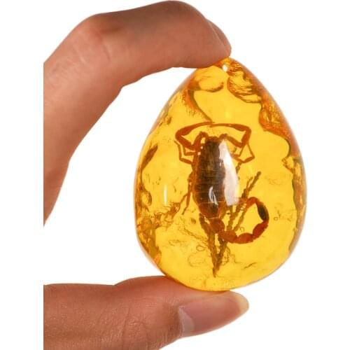 Natural Scorpions Insect Inclusion Amber Baltic Gemstone Pendant Necklace Sweater Decorations DIY Ornament Craft Gift