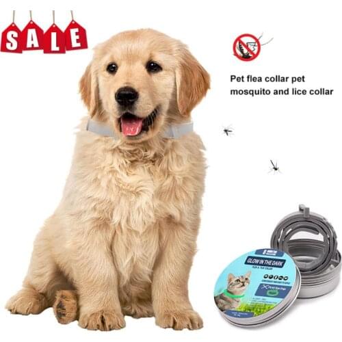Removes Flea And Tick Collar For Dogs Cats Up To 8 Month Flea Tick Collar Anti-mosquito & Insect Repellent Luminous Cat Collar