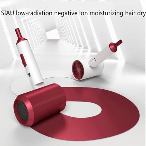 Shihang net celebrity professional hair dryer negative ion hair care does not hurt hair high-power hair dryer