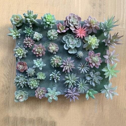 5/8/12/16/20Pcs/Set Artificial Succulents Fake Flowers Mini PVC Simulated Faux Floral Plants Home Garden Office Bathroom Decor