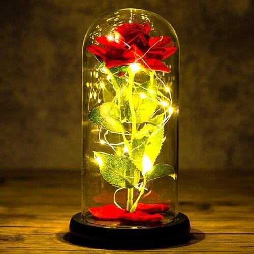 Beauty and the Beast Rose Eternal Flower with Warm Led String Light in Dome Glass Cover for Valentines Day Gift Wedding Decor